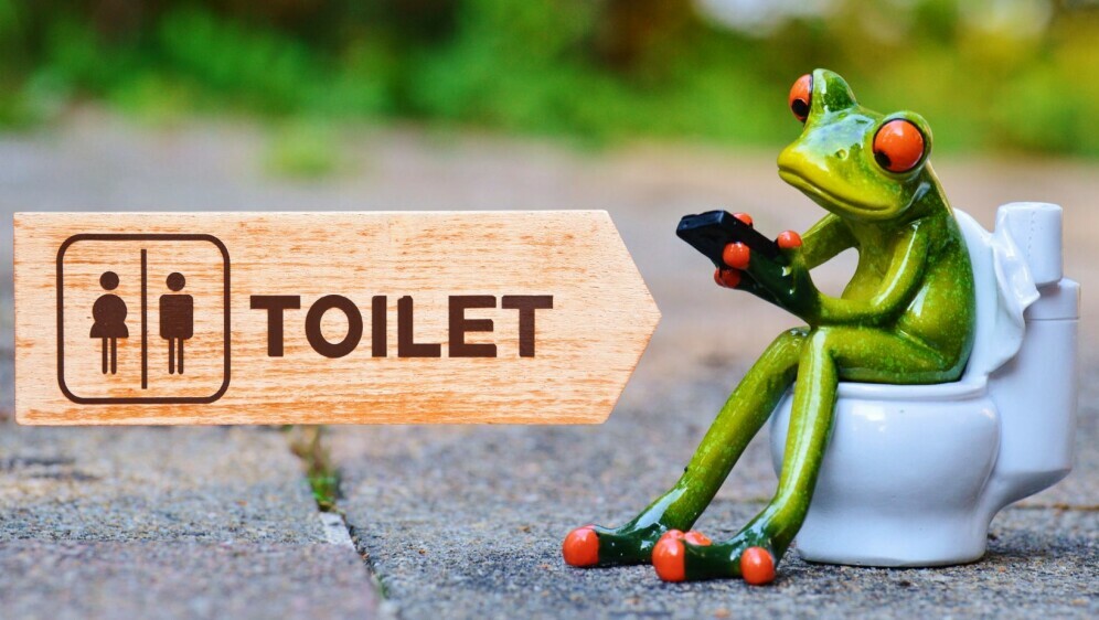 Žaba na WC-u i znak za toalet