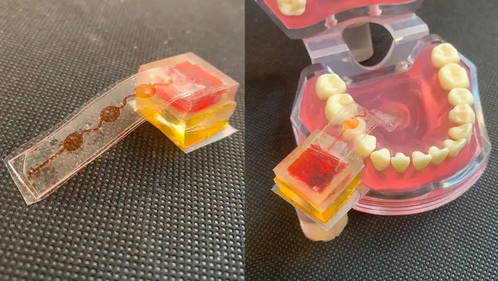 E-Taste, elektronski jezik