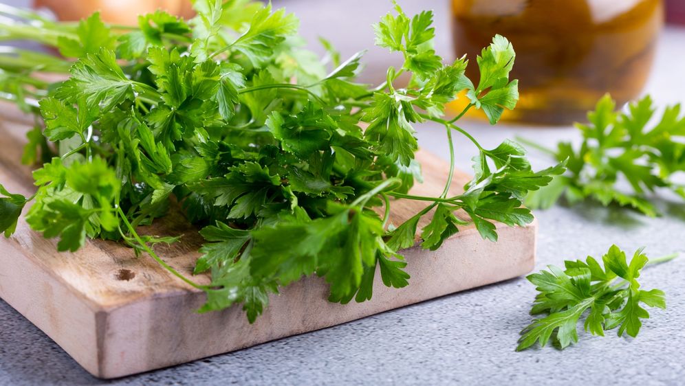 Svježi peršin