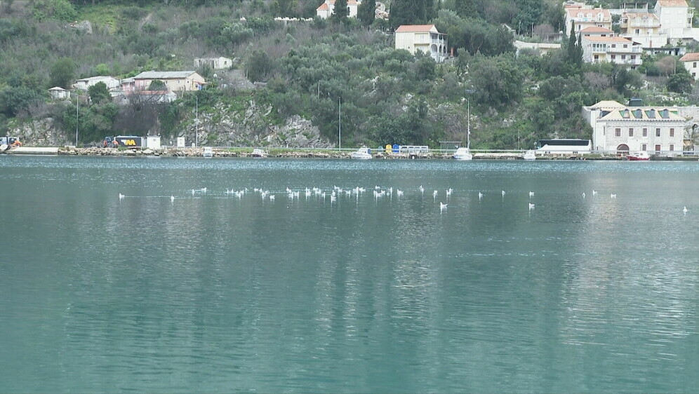 Fekalije u Dubrovniku