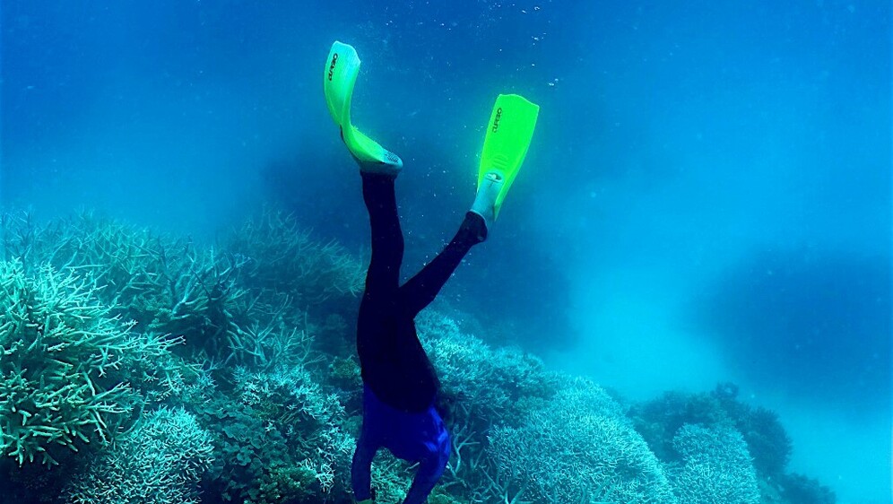 Ronilac, ilustracija