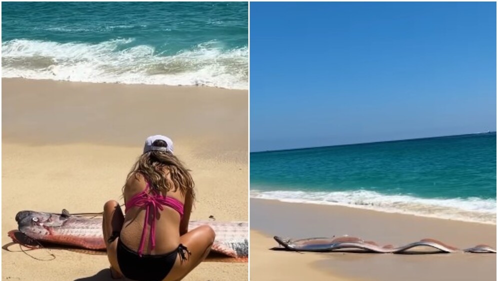 Riba veslo na plaži u Meksiku