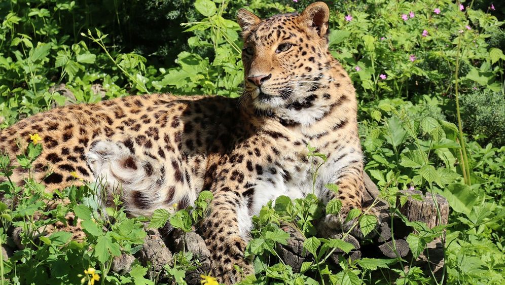 Školarce tijekom uskrsnih praznika očekuje Zoo avantura