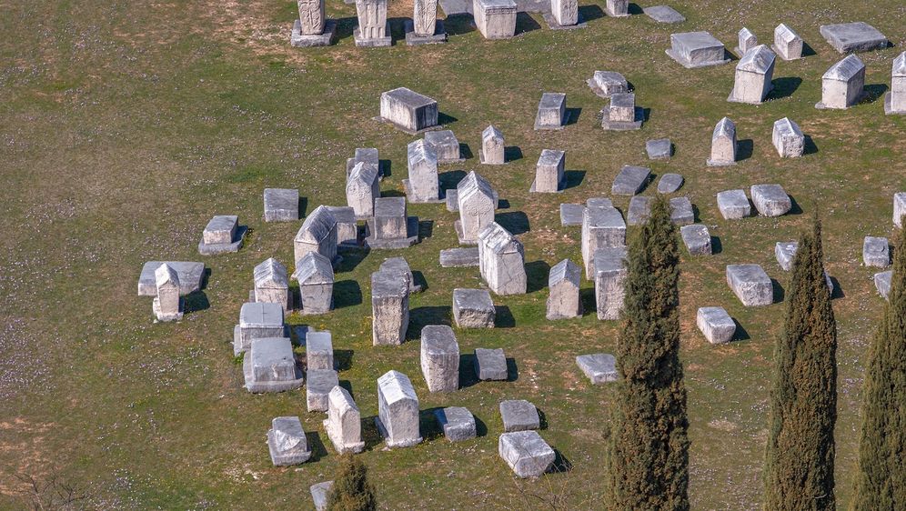 Nekropola Radimlja - 8