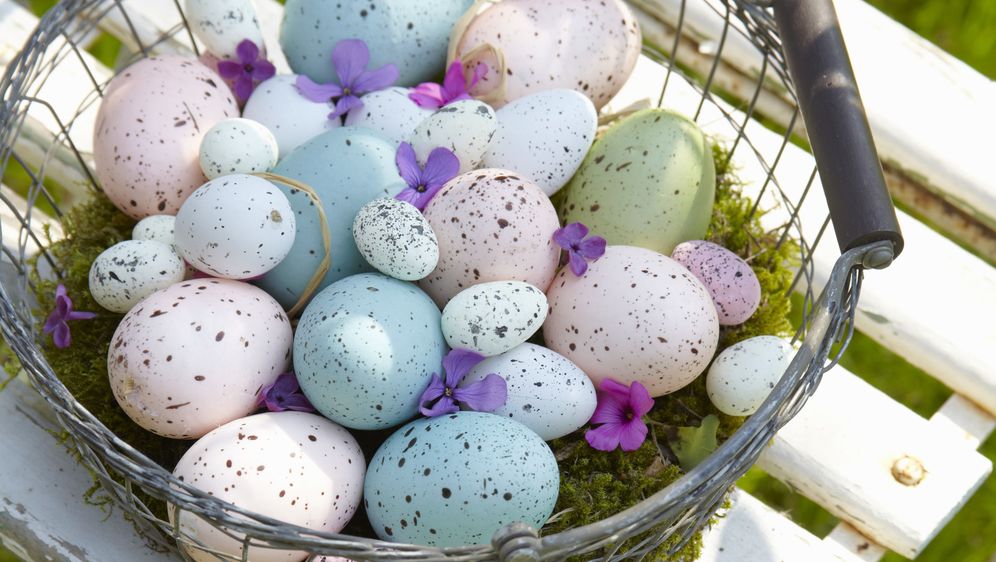 Pisanice s pjegicama - 8