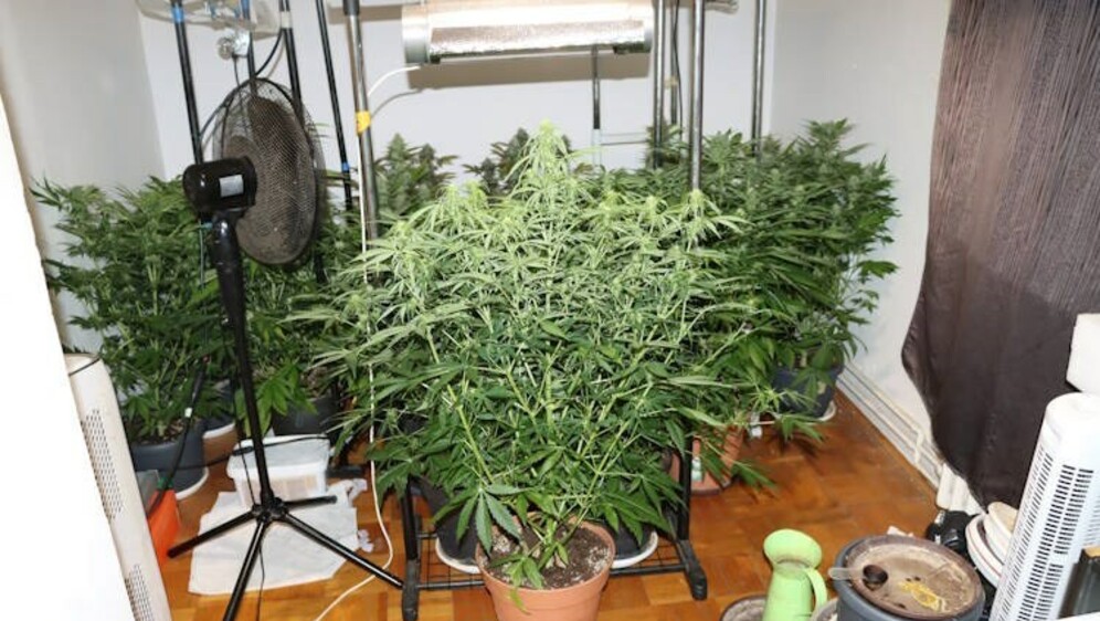 Zagrebačka policija na Trešnjevci pronašla drogu - 5