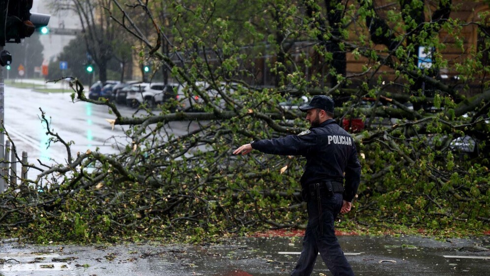 Srušena stabla u Zagrebu