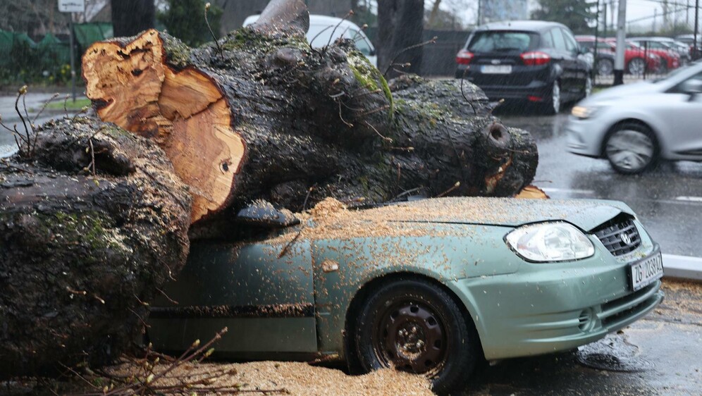 Nevrijeme srušilo stablo koje je palo na automobil