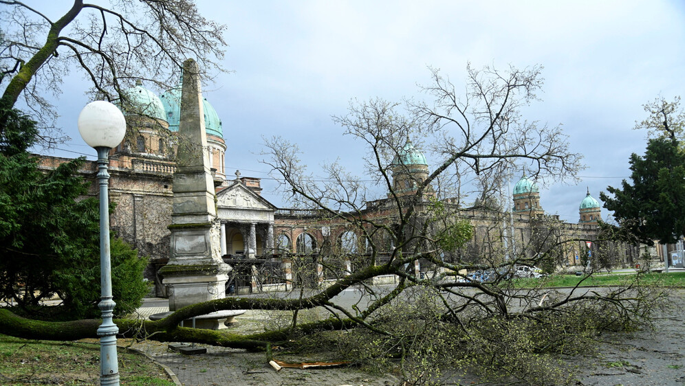 Šteta na Mirogoju - 1