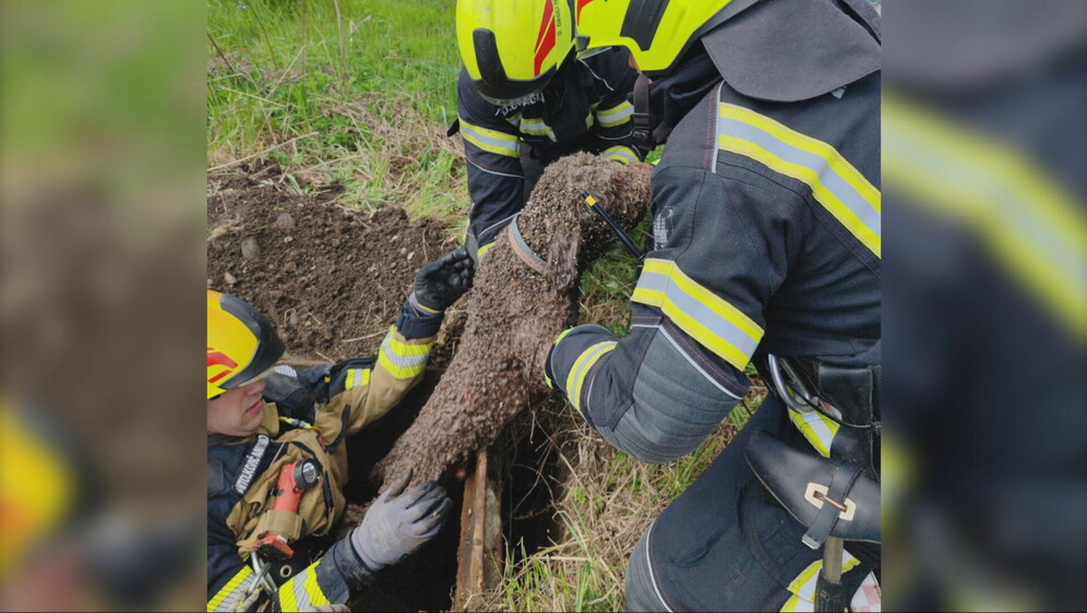 Vatrogasci spasili psa - 3