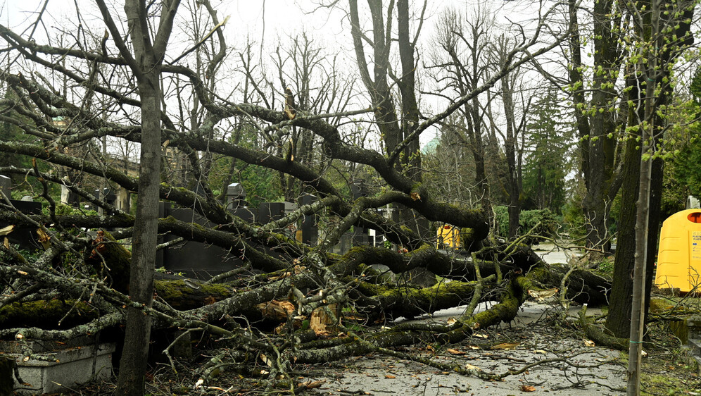 Vjetar srušio stabla na Mirogoju