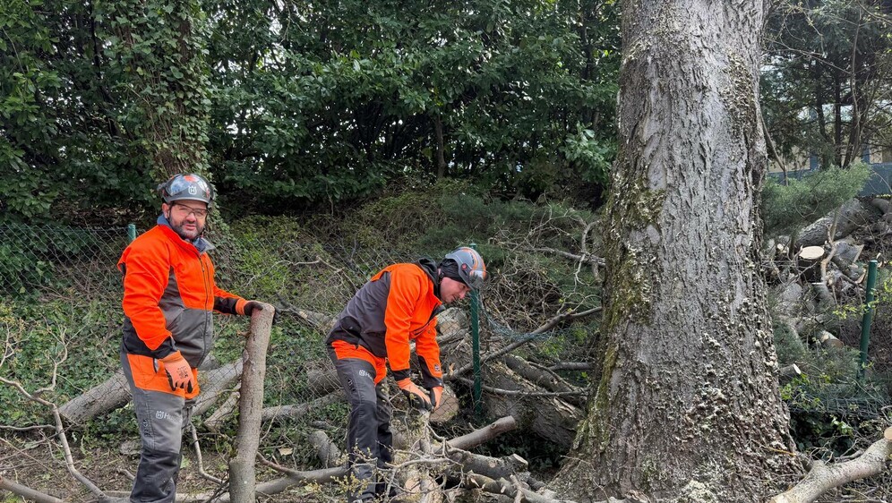 Nastavlja se sanacija u Zagrebu nakon olujnog nevremena - 3