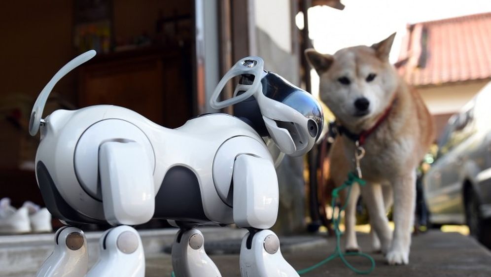 Robotski psi: U budućnosti kućne ljubimce zamijenit će roboti?