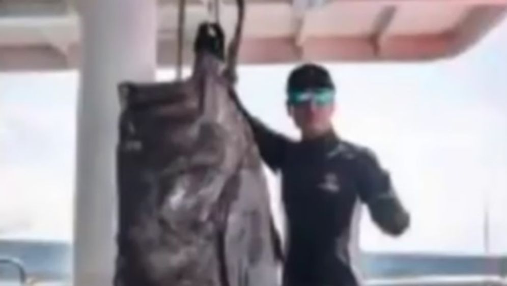 Gigantski ulov kineskih ribara: Ulovili kirnju dugačku 1,8 metara (Screenshot YouTube)