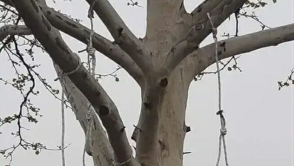 Vješala na stablu u Dubravi
