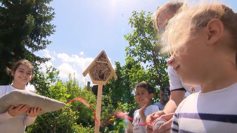 Samoborska djeca napravila hotel za pčele