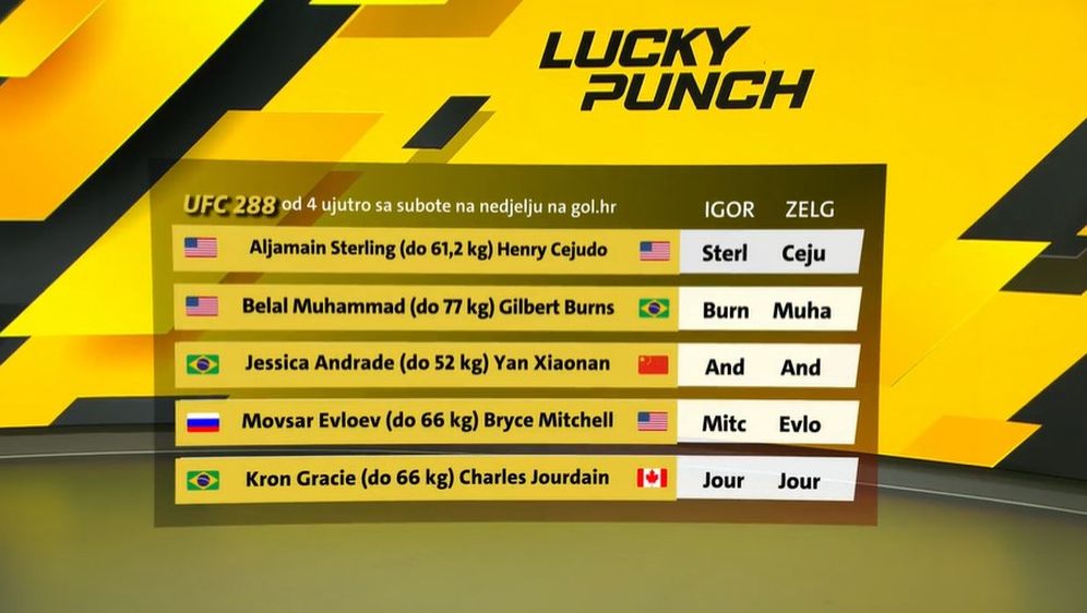 UFC 288