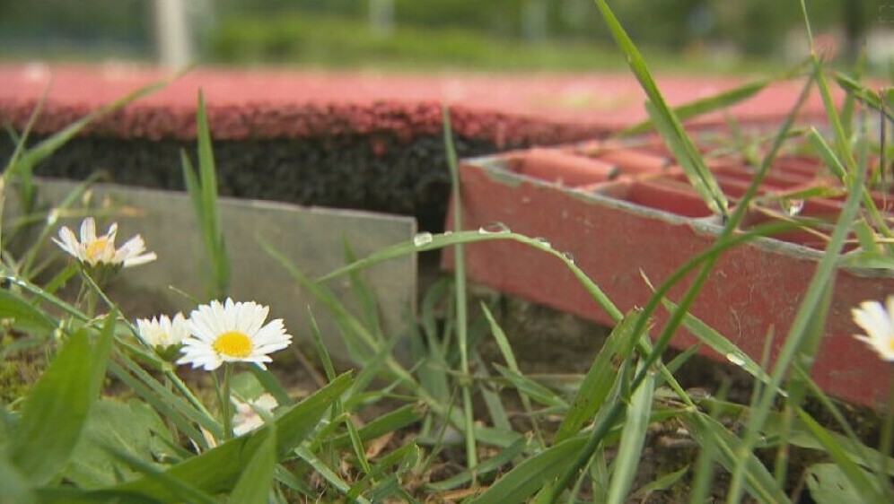 Problem zagrebačkog parka za djecu, ilustracija - 3