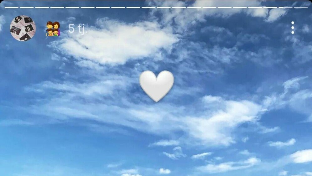 Lejdi i Dražen Perković - 1