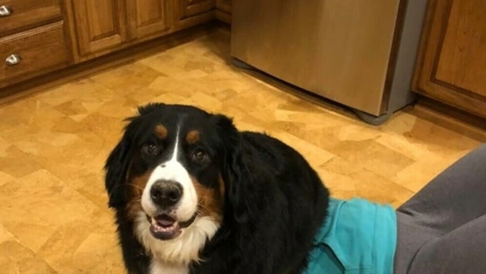 Dramatični ljubimci - 20