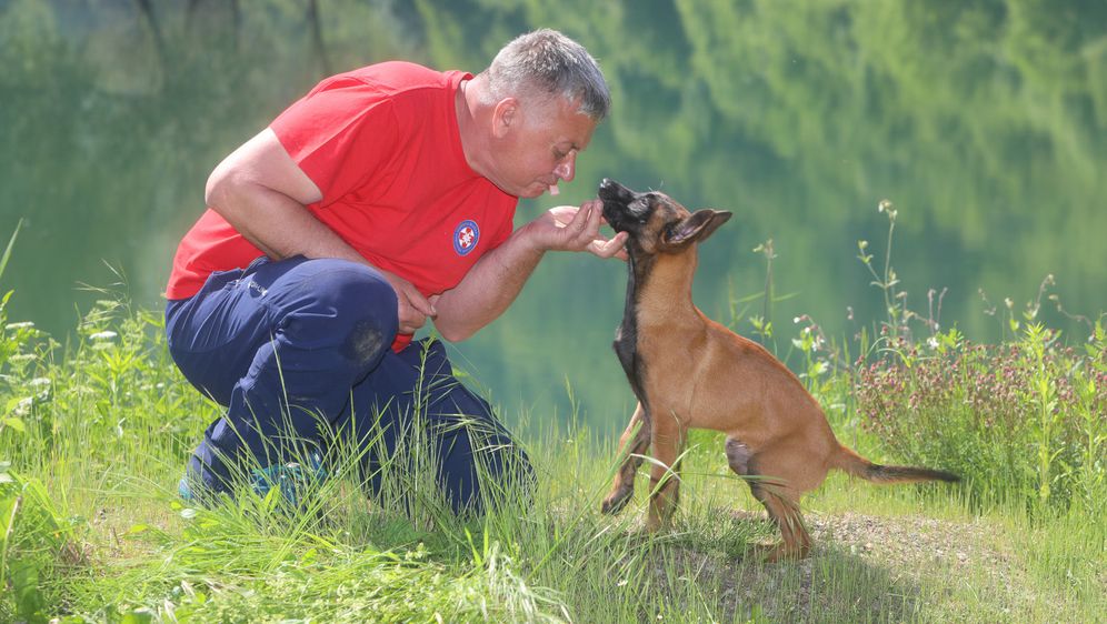 Mladi belgijski ovčar Zorro novi je potražni pas HGSS stanice Ogulin - 8