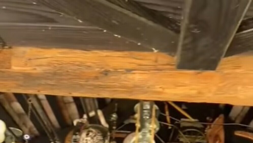 Rođendan Sanje Doležal - 1