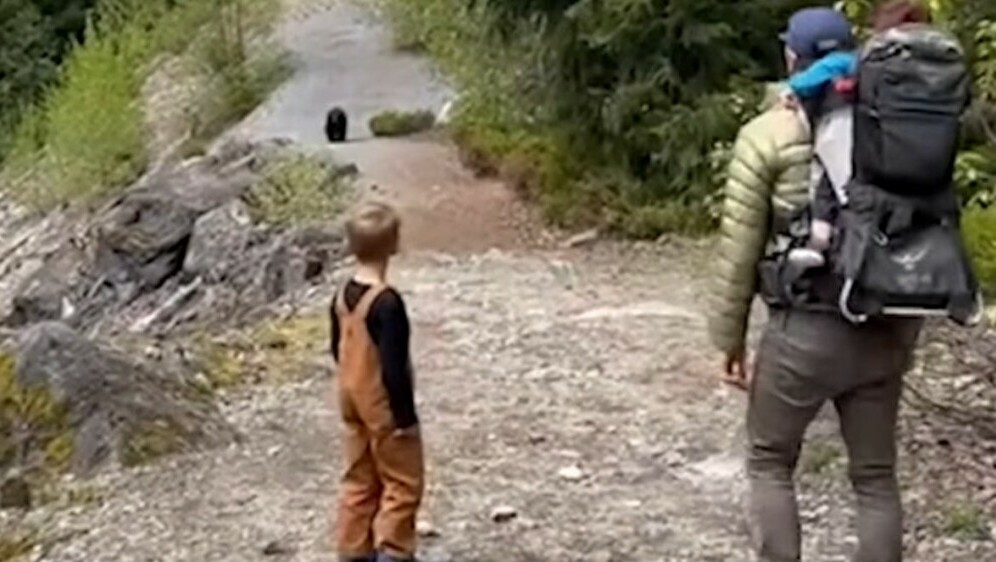 Medvjed u pratnji