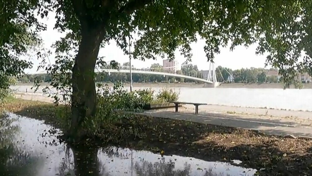 Osijek protiv komaraca - 2