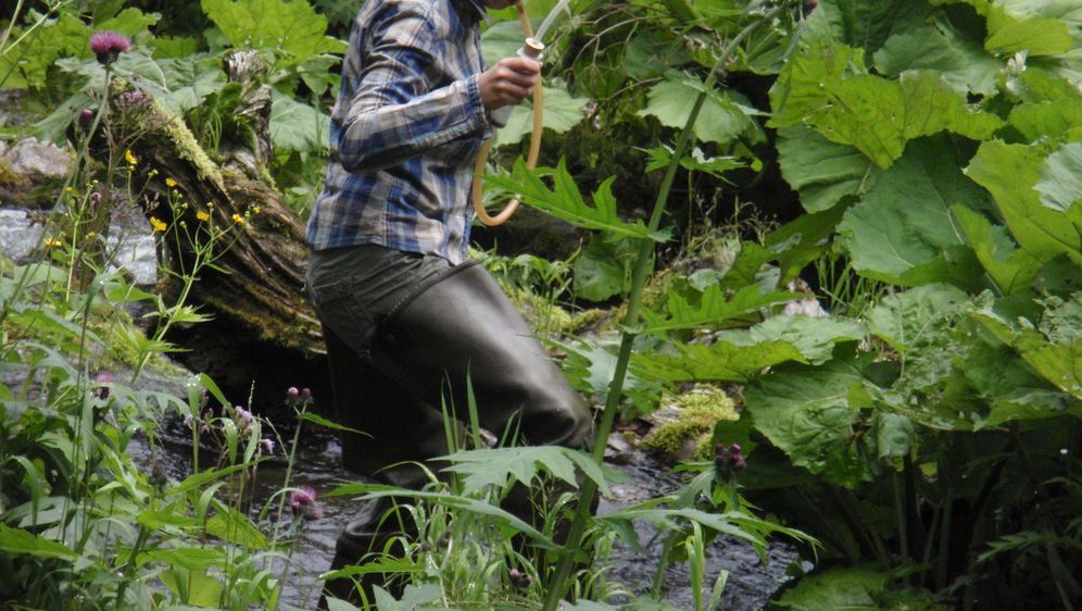 Vodene muhe plesačice