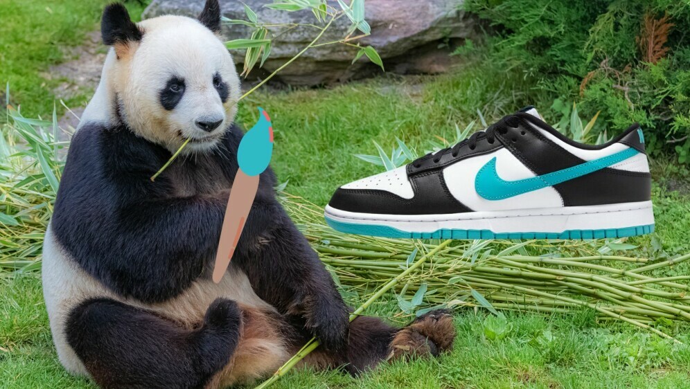 Panda s kisom i tenisice Nike Dunk