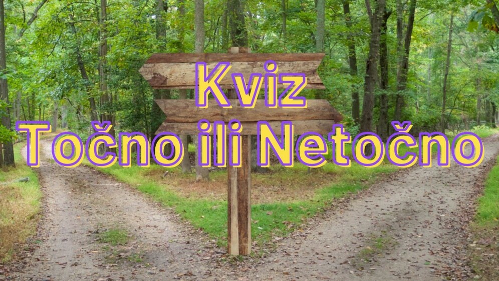 Puteljak u dva smjera s putokazom i natpis kviz točno ili netočno
