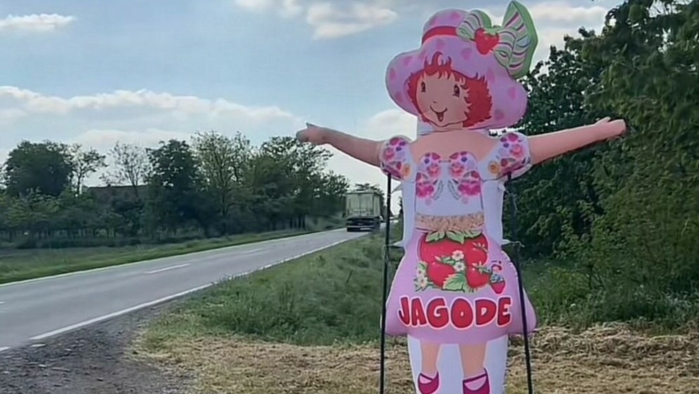 Jagodica Bobica