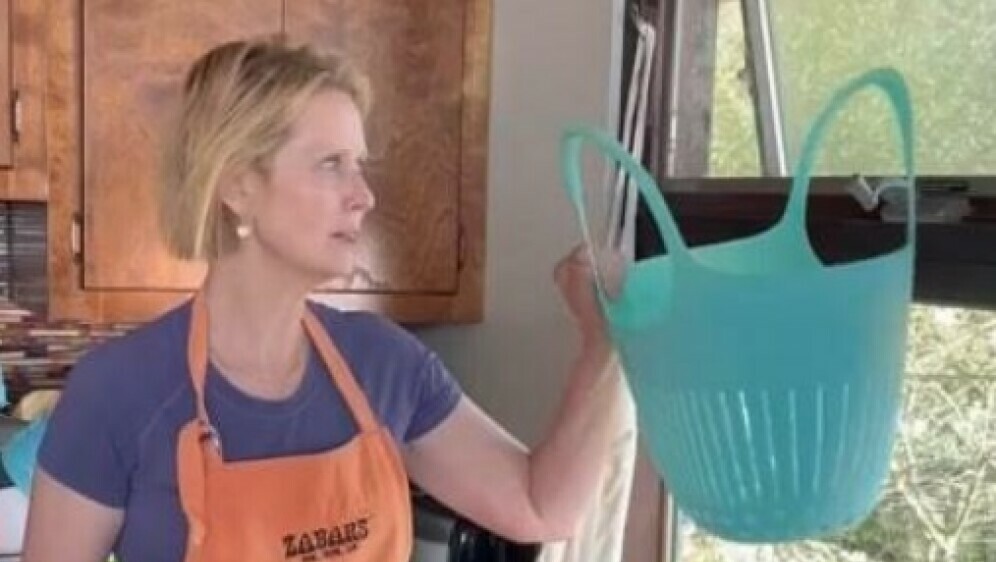 Cynthia Nixon