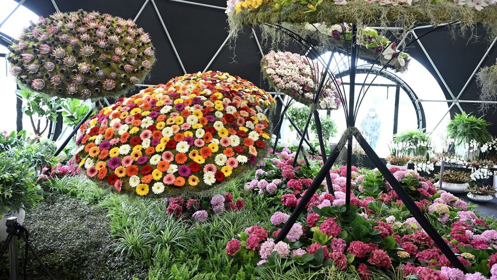 Floraart 2025.