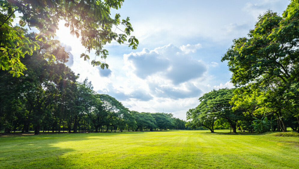 Proljeće, ilustracija