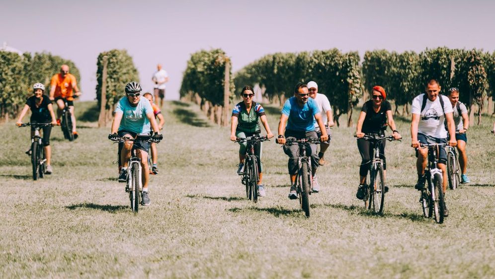 Wine & Bike Tour Erdut
