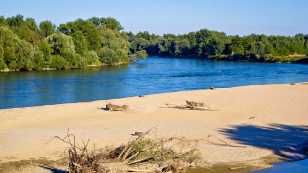Drava