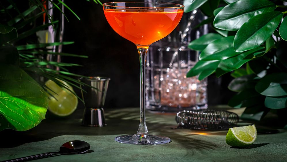 Koktel Goli i slavni (Naked and Famous)