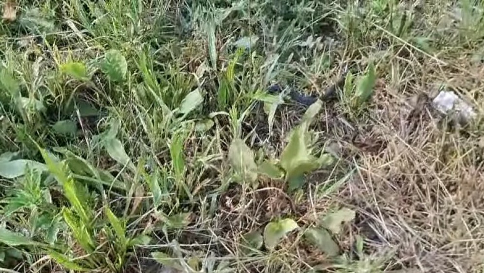 Dvorište učeničkog doma