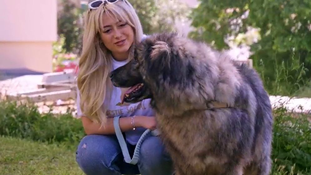 Pas Jakov ima nevjerojatno životnu priču