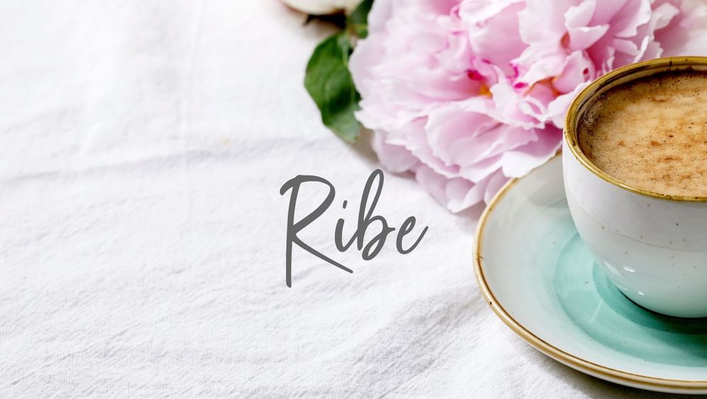 Mjesečni horoskop za lipanj