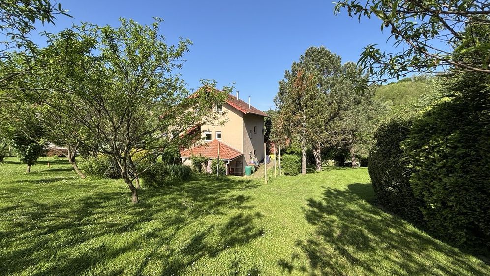 Green Home - 3