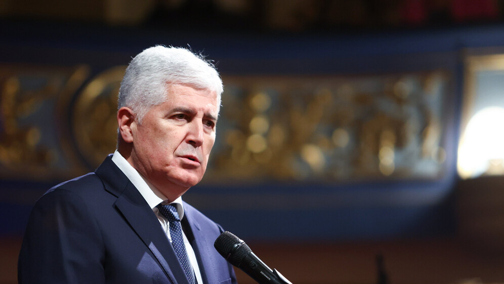 Dragan Čović, Predsjednik HNS-a BiH