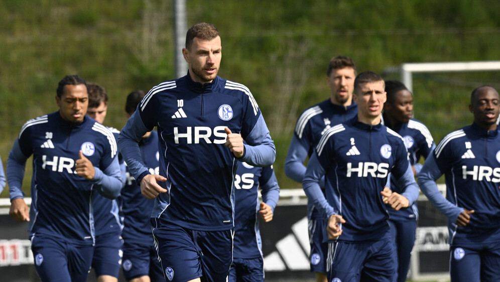 Edin Džeko u Schalkeu