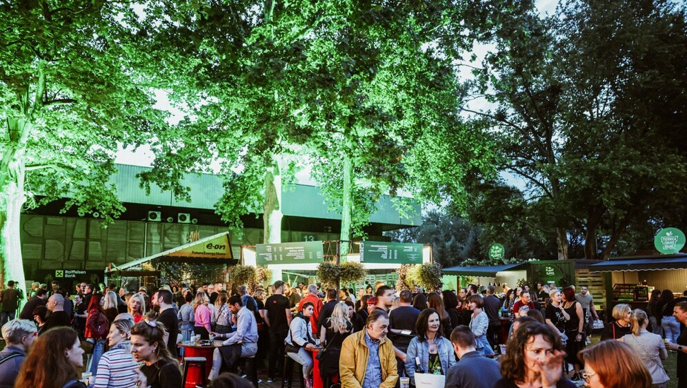Greencajt festival - 3