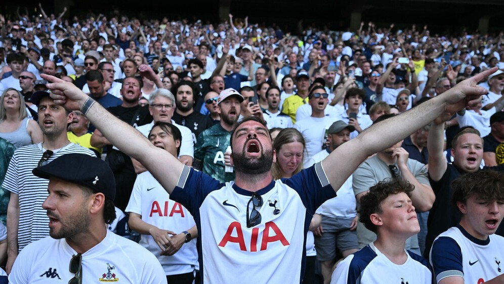 Navijač Tottenhama