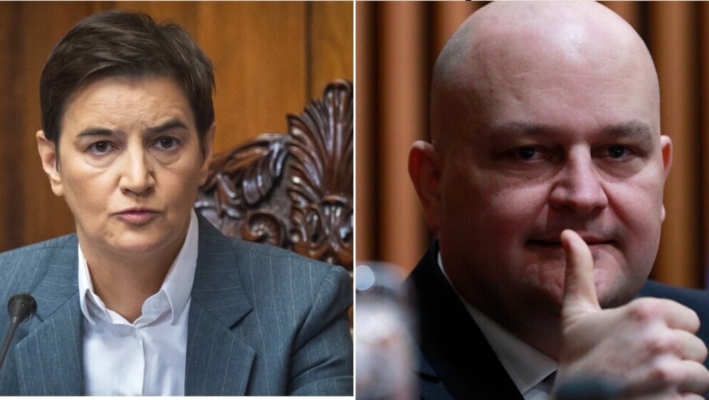 Ana Brnabić, Ante Šušnjar