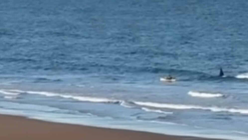 Orka juri prema kajakašu