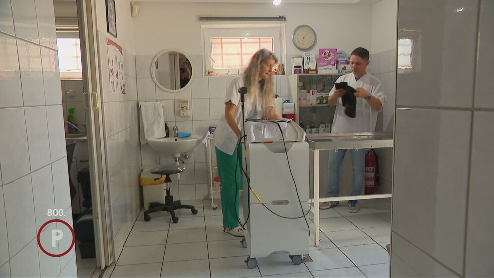 Provjereno: Veterinari - 5
