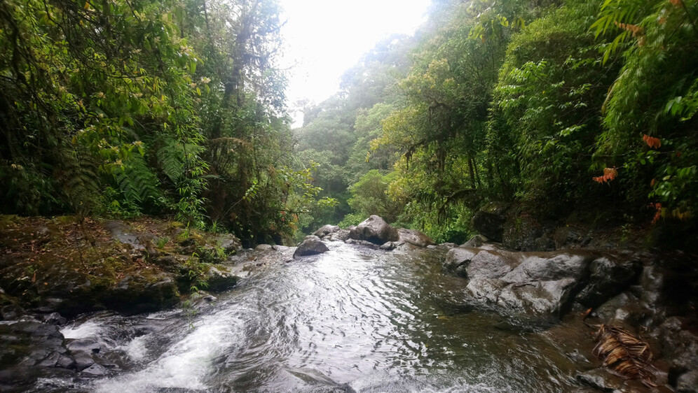 Darien Gap - 2